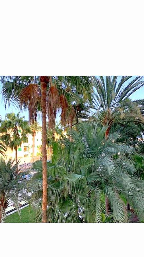 Maspalomas Del Mar San Bartolomé Dış mekan fotoğraf